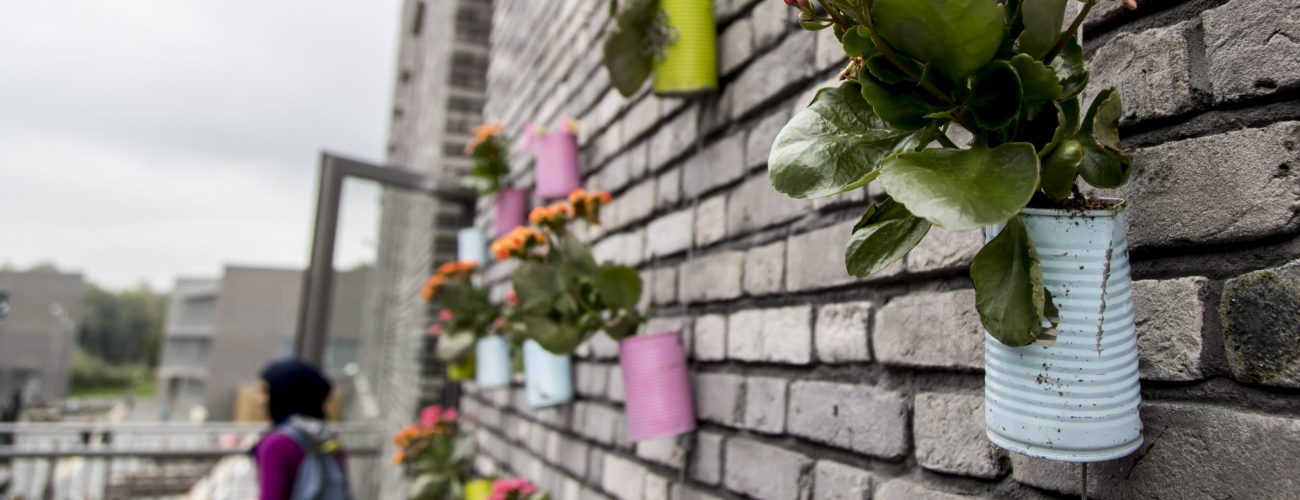 Plants on wall