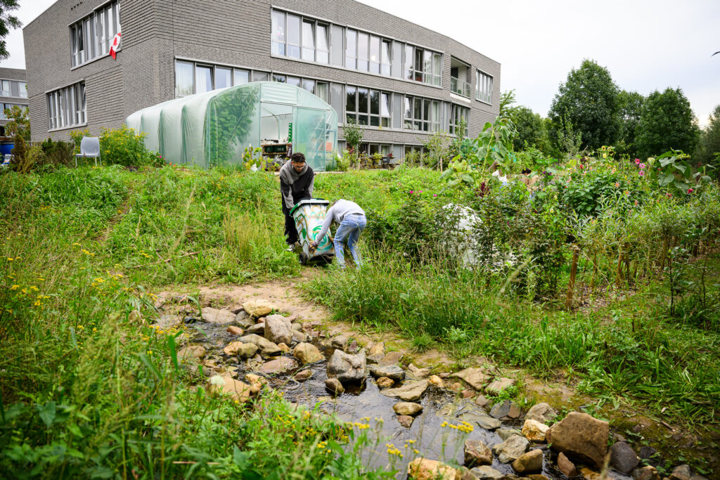 Garden and School Building