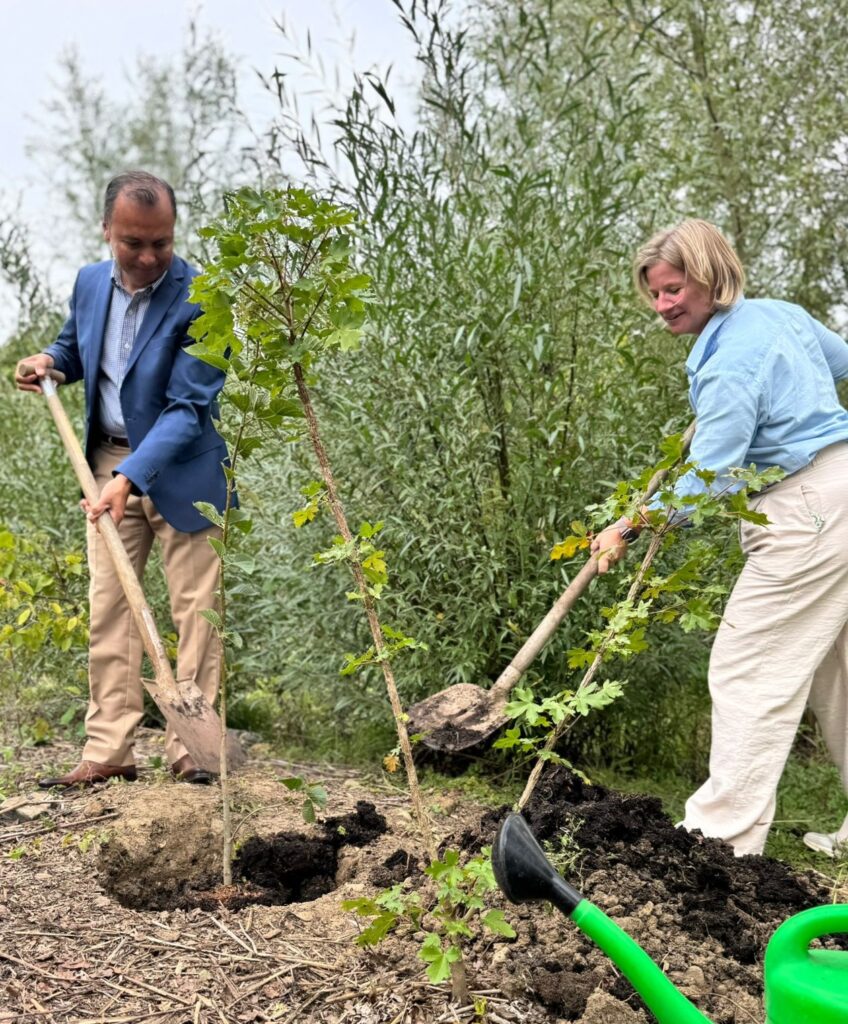 people planting a tree